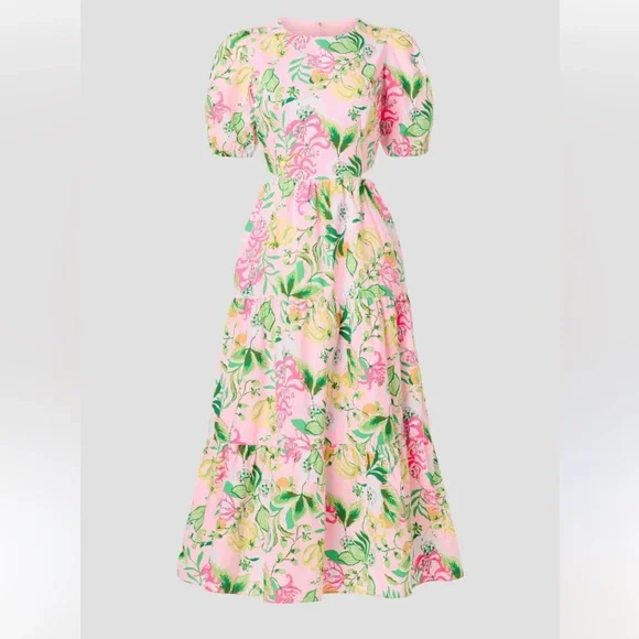 Lilly Pulitzer Lyssa Cotton Midi Dress - Picture 11 of 14